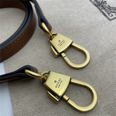 Gu.cci Diana Mini Tote Bag Brown Leather 655661