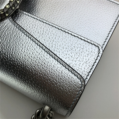 Gu.cci Dionysus Small Rectangular Bag Silver Leather 499623