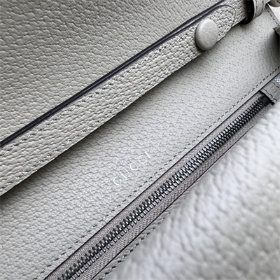 Gu.cci Dionysus Small Shoulder Bag GG Supreme Canvas 731782