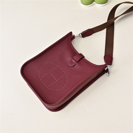 Evelyne III TPM Mini Bag In Burgundy(options)