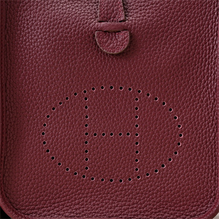 Evelyne III TPM Mini Bag In Burgundy(options)
