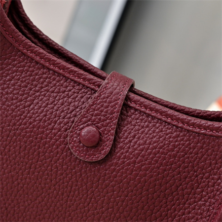 Evelyne III TPM Mini Bag In Burgundy(options)