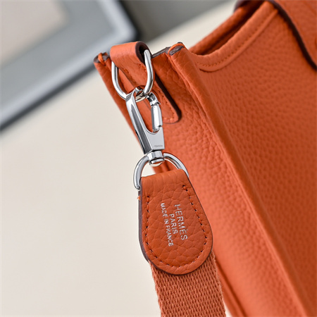 Evelyne III TPM Mini Bag In Orange(options)
