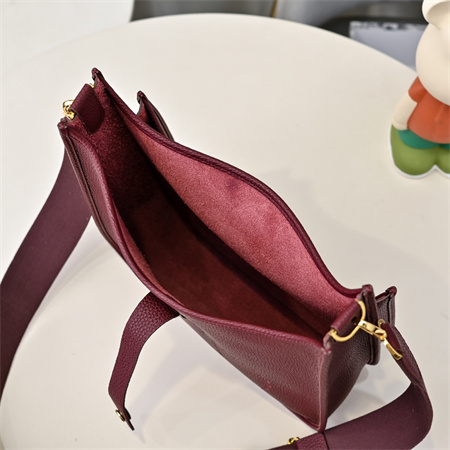 Evelyne III PM  Bag In Burgundy(options)