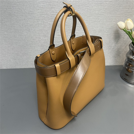 Prada Buckle medium leather handbag with double belt Brown 1BA417