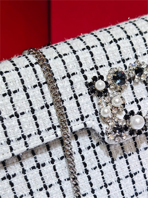 Roger Vivier Efflorescence Clutch In Tweed White/Black