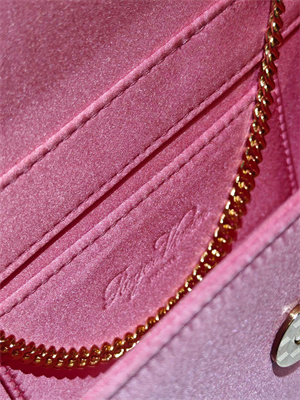 Roger Vivier Jewel Efflorescence Mini Bag In Satin Pink