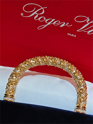 Roger Vivier Jewel Efflorescence Mini Bag In Velvet Navy