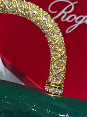 Roger Vivier Jewel Efflorescence Mini Bag In Leather Green