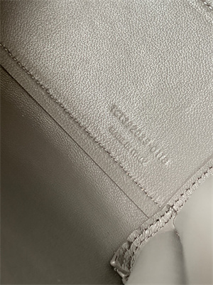 Y.S.L SAC DE JOUR NANO In Grey Crocodile Embossed Leather Silver Tone Metal