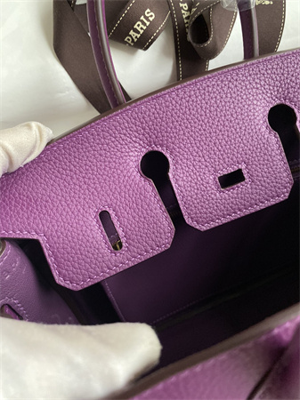 Bir.kin Bag Togo Leather 25/30/35 Gold/Silver Hardware In Anemone Color HS