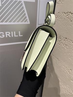 Constance Bag Epsom Leather 18CM Gold/Silver Tone Metal In Vert Fizz Color HS  (With mirror)