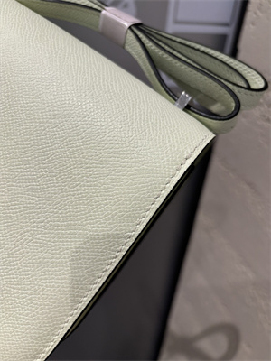 Constance Bag Epsom Leather 18CM Gold/Silver Tone Metal In Vert Fizz Color HS  (With mirror)