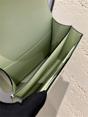 Constance Bag Epsom Leather 18CM Gold/Silver Tone Metal In Vert Fizz Color HS  (With mirror)