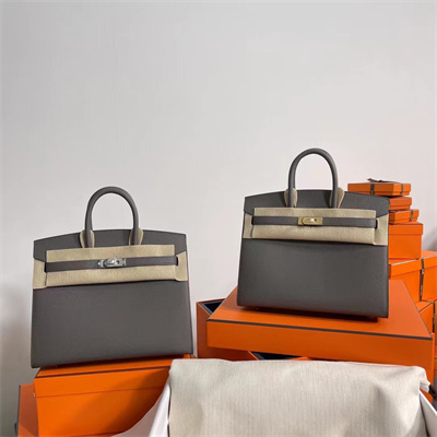 Bir.kin Sellier Bag Epsom Leather 25/30/35CM Gold Hardware In Etain Color HS