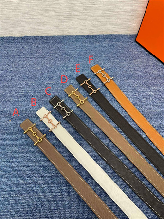 Hermes Reversible Belt 25MM Epsom Leather Gold/Silver Tone Hardware Colors Options