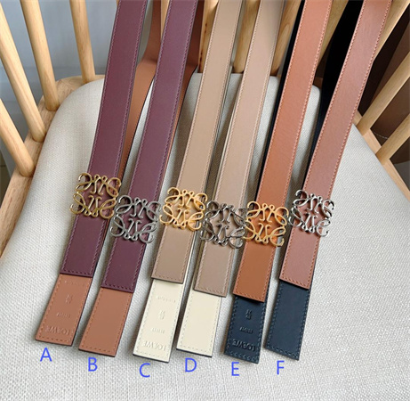 Loewe Belt In Smooth Calfskin 28MM Gold/Silver Hardware Colors Options