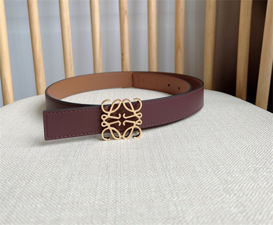 Loewe Belt In Smooth Calfskin 28MM Gold/Silver Hardware Colors Options