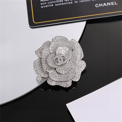 Chanel Brooch 37737