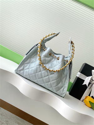 Chanel 25 Small Handbag Grained Calfskin Gold Tone Metal Blue AS5293