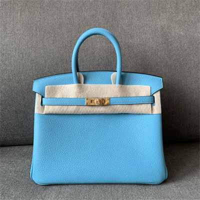 Bir.kin Bag Togo Leather 25/30/35 Gold/Silver Hardware In Blue du Nord Color HS