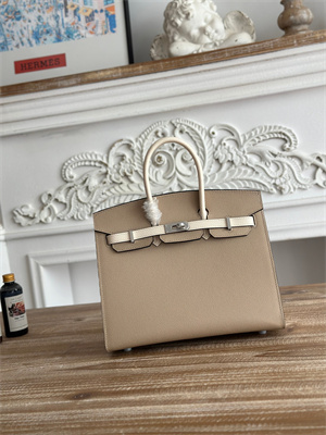 Bir.kin Sellier Bag Epsom Leather 25CM Gold/Silver Hardware In Trench/Craie HS