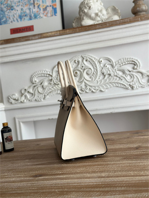 Bir.kin Sellier Bag Epsom Leather 25CM Gold/Silver Hardware In Trench/Craie HS