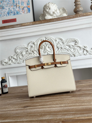 Bir.kin Sellier Bag Epsom Leather 25CM Gold/Silver Hardware In Craie/Gold HS