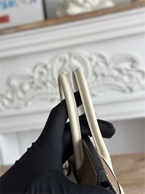 Bir.kin Sellier Bag Epsom Leather 25CM Gold/Silver Hardware In Etoupe/Craie HS