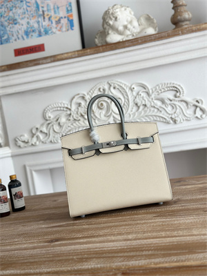 Bir.kin Sellier Bag Epsom Leather 25CM Gold/Silver Hardware In Craie/Blue Glacier HS