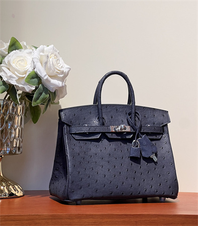 Bir.kin Bag Ostrich Leather 25 Gold/Silver Hardware In Navy HS