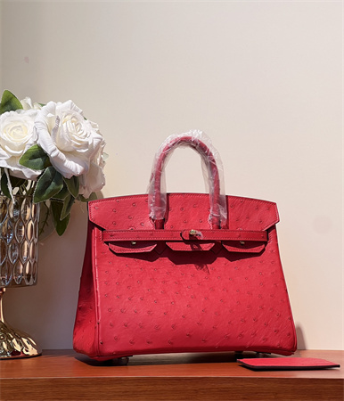 Bir.kin Bag Ostrich Leather 25 Gold/Silver Hardware In Red HS