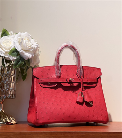 Bir.kin Bag Ostrich Leather 25 Gold/Silver Hardware In Red HS