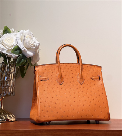 Bir.kin Bag Ostrich Leather 25 Gold/Silver Hardware In Orange HS