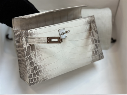 Kelly Pochette Himalayan Bag Niloticus Silver Tone Hardware HS