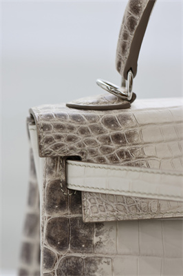 Kelly Retourne Bag 25 Himalayan Niloticus Silver Hardware HS