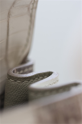 Kelly Retourne Bag 25 Himalayan Niloticus Silver Hardware HS