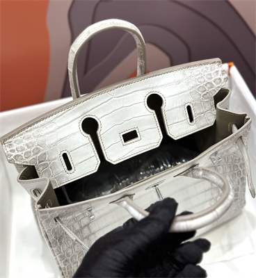 Bir.kin Himalayan Bag 25 Niloticus Silver Hardware HS