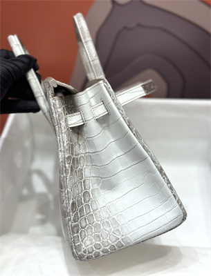 Bir.kin Himalayan Bag 25 Niloticus Silver Hardware HS