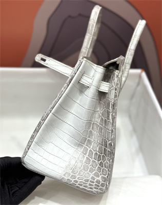 Bir.kin Himalayan Bag 25 Niloticus Silver Hardware HS