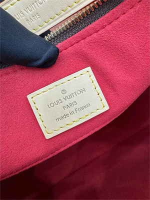 L.V Slouchy PM Monogram Coated Canvas M11952 TOP