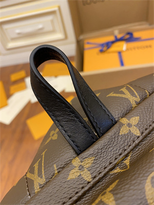 L.V Palm Spring PM Backpack Monogram Coated Canvas M44871 TOP