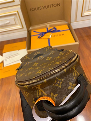 L.V Palm Spring Mini Backpack Monogram Coated Canvas M44873 TOP