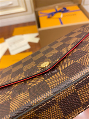 L.V Felicie Pochette Damier Ebene Canvas M63032 TOP