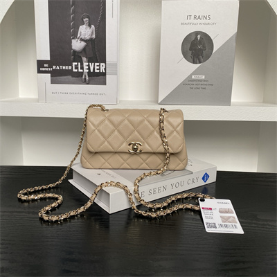 Chanel FLAP PHONE HOLDER WITH CHAIN Lambskin Gold-Tone Metal Beige AP4592