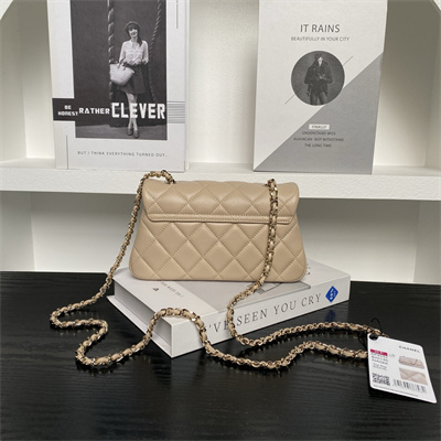 Chanel FLAP PHONE HOLDER WITH CHAIN Lambskin Gold-Tone Metal Beige AP4592