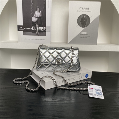 Chanel FLAP PHONE HOLDER WITH CHAIN Lambskin Sivler-Tone Metal Silver AP4592