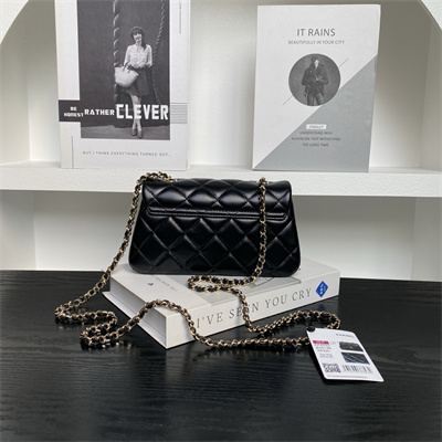 Chanel FLAP PHONE HOLDER WITH CHAIN Lambskin Gold-Tone Metal Black AP4592