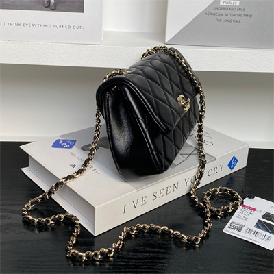 Chanel FLAP PHONE HOLDER WITH CHAIN Lambskin Gold-Tone Metal Black AP4592