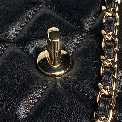 Chanel FLAP PHONE HOLDER WITH CHAIN Lambskin Gold-Tone Metal Black AP4592